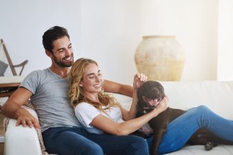 A Guide to Home Insurance for Pit Bull Owners